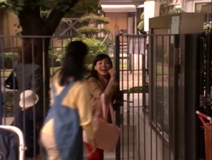 ちゅらさんの画像