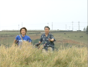 ちゅらさんの画像