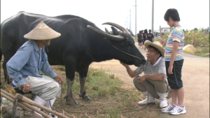 ちゅらさんの画像