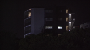 純と愛の画像
