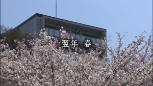 純と愛の画像