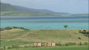 ちゅらさんの画像